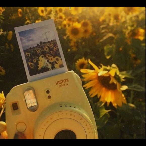 Meet your Posher, Kara - Picture 1 of 1